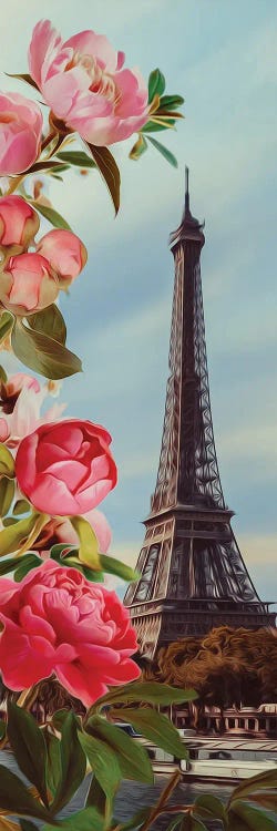 Pink Peonies And Paris