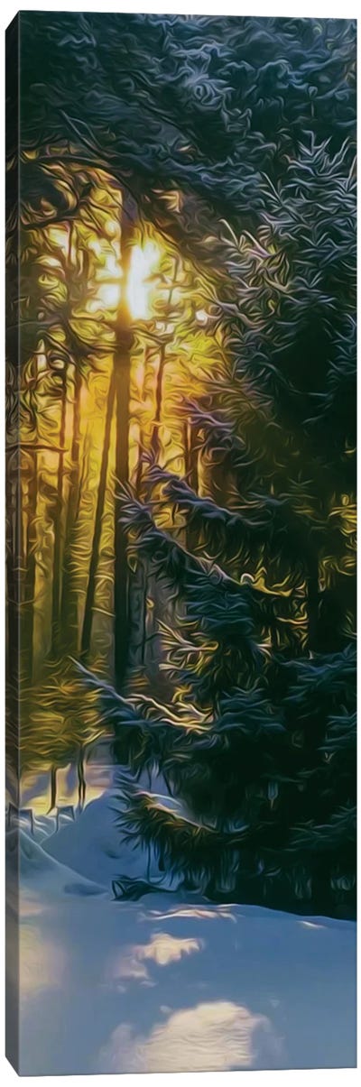 The Sun In The Christmas Forest Canvas Art Print - Ievgeniia Bidiuk