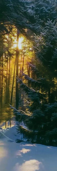 Snowscapes: The Sun In The Christmas Forest by Ievgeniia Bidiuk