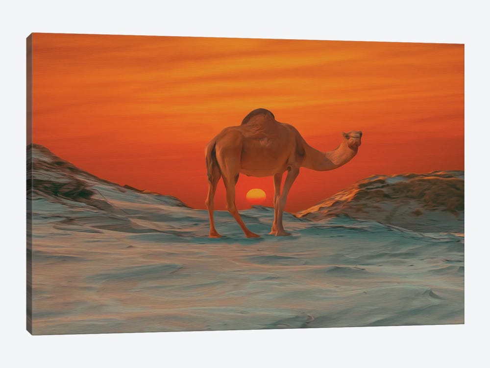 Camel On The Background Of A Sunset by Ievgeniia Bidiuk 1-piece Canvas Art Print