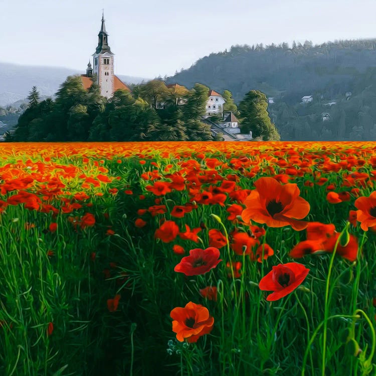 A Field With Blooming Poppies Near The Old Castle.