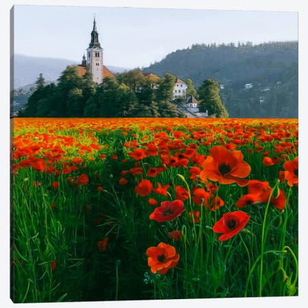 A Field With Blooming Poppies Near The Old Castle. Canvas Print #IVG820} by Ievgeniia Bidiuk Canvas Art