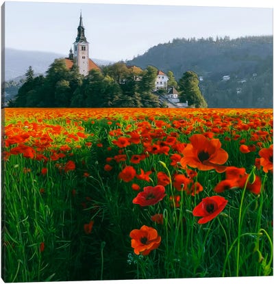 A Field With Blooming Poppies Near The Old Castle. Canvas Art Print - Ievgeniia Bidiuk