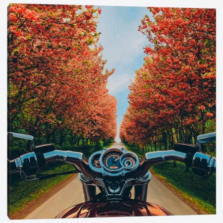 A Motorcycle On A Road With Blooming Spring Trees. Canvas Print #IVG821} by Ievgeniia Bidiuk Canvas Artwork