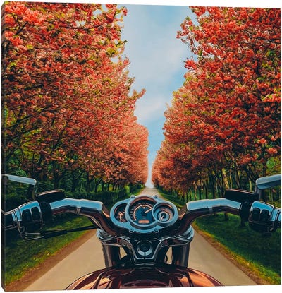 A Motorcycle On A Road With Blooming Spring Trees. Canvas Art Print - Ievgeniia Bidiuk