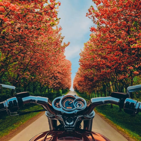 Ievgeniia Bidiuk: A Motorcycle On A Road With Blooming Spring Trees. by Ievgeniia Bidiuk