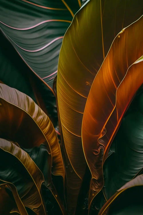 Abstraction From Cast Strelitzia. by Ievgeniia Bidiuk wall art