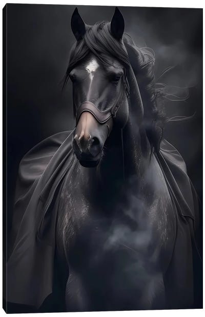 Arabian Horse. Canvas Art Print