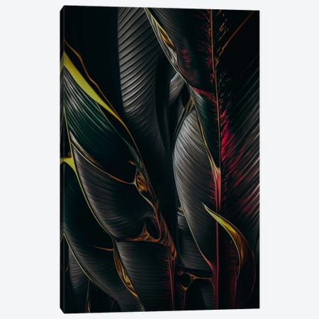 Black Tropical Foliage. Canvas Print #IVG835} by Ievgeniia Bidiuk Canvas Wall Art