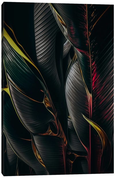 Black Tropical Foliage. Canvas Art Print - Ievgeniia Bidiuk