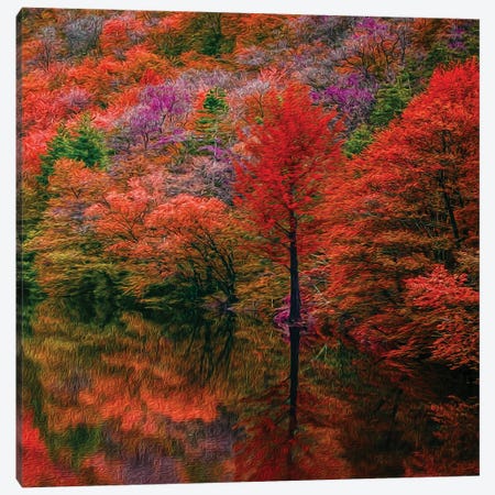 Falling Colorful Forest Canvas Print #IVG84} by Ievgeniia Bidiuk Canvas Print