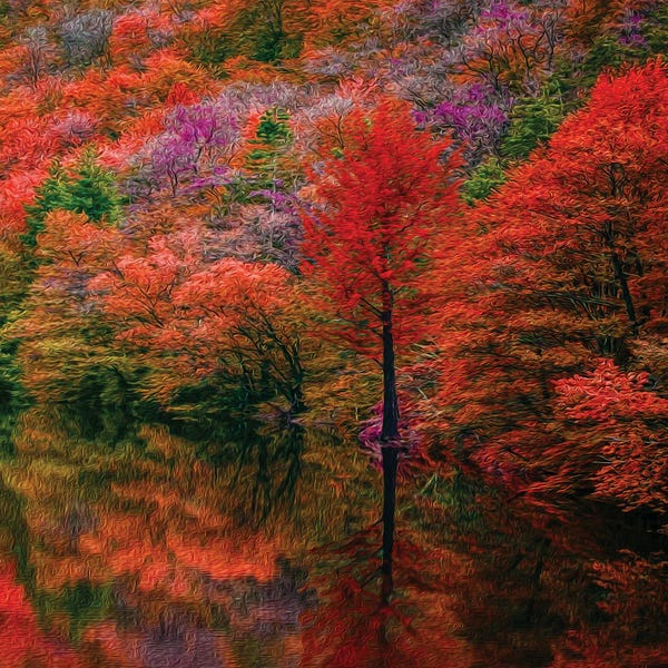 Ievgeniia Bidiuk: Falling Colorful Forest by Ievgeniia Bidiuk