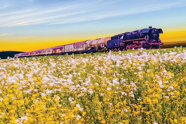 Freight Train And Flowering Meadows