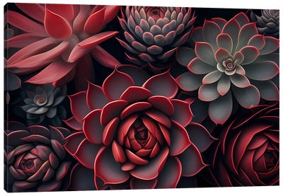 Red Succulents. Canvas Art Print - Ievgeniia Bidiuk