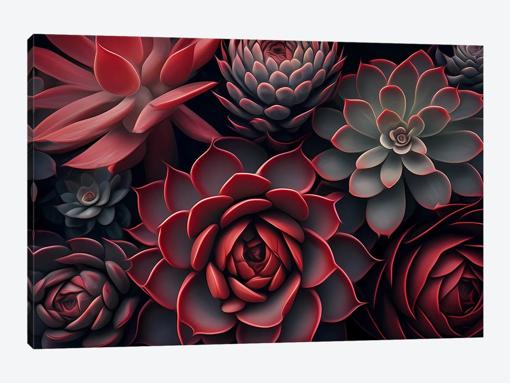 Red Succulents. by Ievgeniia Bidiuk 1-piece Canvas Artwork