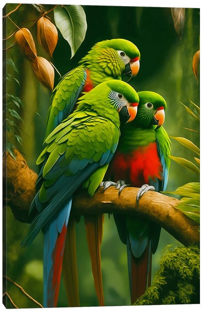 Three Parrots. Canvas Art Print - Parrot Art