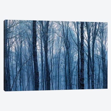 Night Branchy Winter Forest Canvas Print #IVG89} by Ievgeniia Bidiuk Canvas Artwork