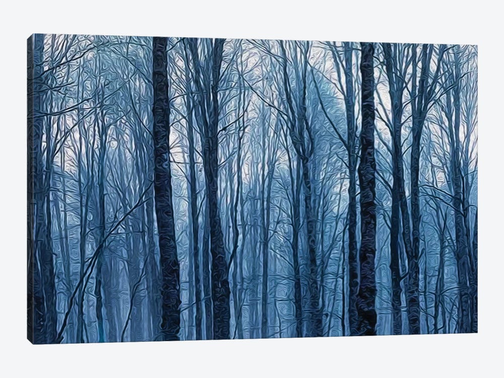 Night Branchy Winter Forest by Ievgeniia Bidiuk 1-piece Art Print