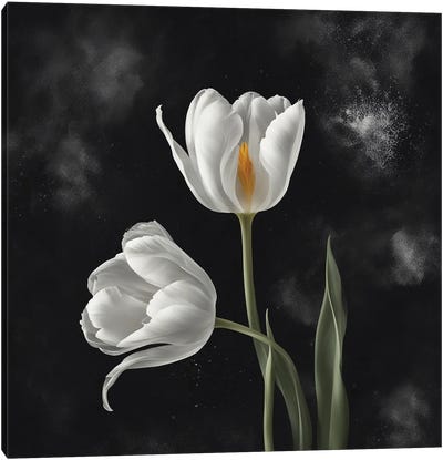 A Pair Of White Tulips Canvas Art Print - Ievgeniia Bidiuk