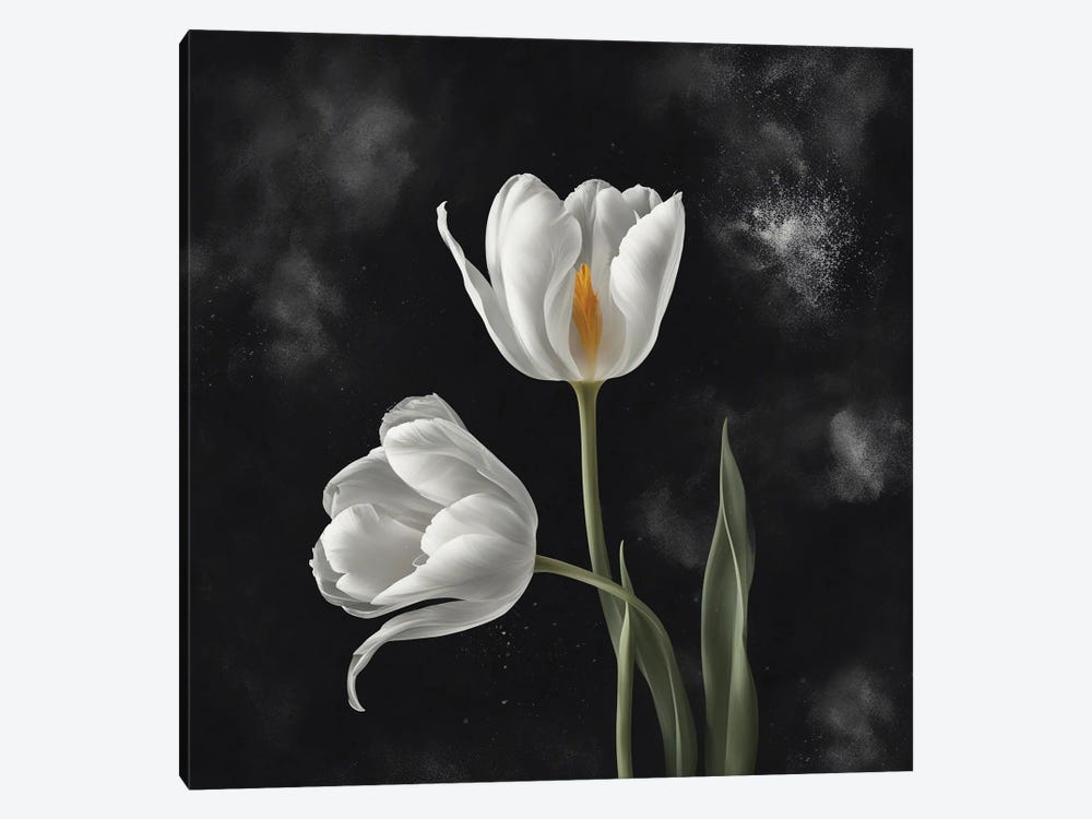A Pair Of White Tulips by Ievgeniia Bidiuk 1-piece Canvas Print