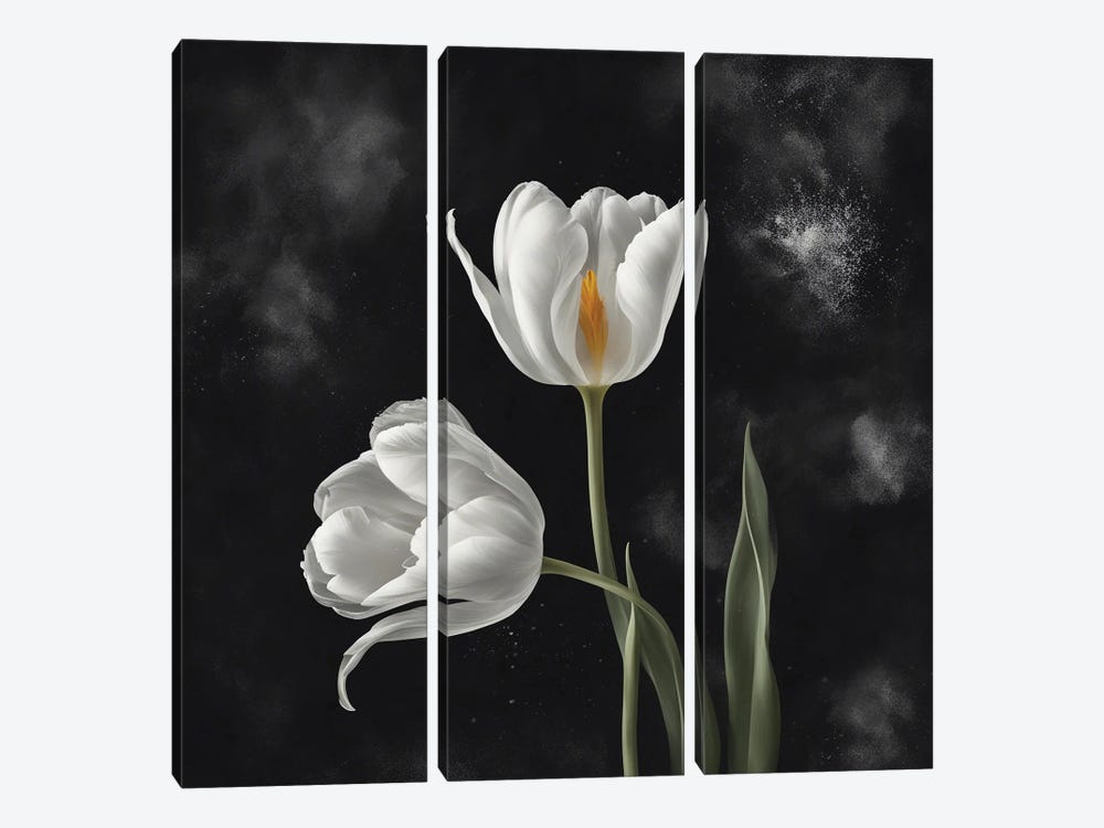 A Pair Of White Tulips by Ievgeniia Bidiuk 3-piece Canvas Print