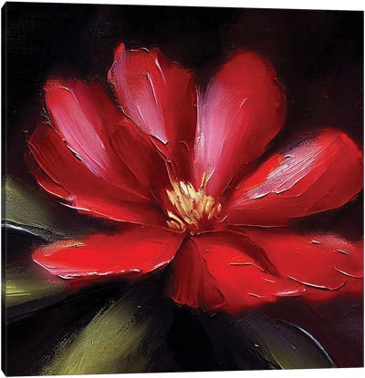 Fire Flower Canvas Art Print - Red Art