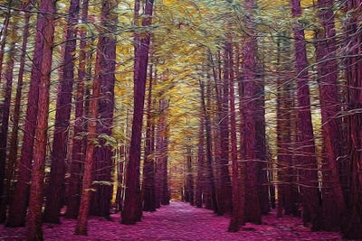 A path In The Forest In A Pink Shade by Ievgeniia Bidiuk acrylic art print