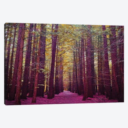 A path In The Forest In A Pink Shade Canvas Print #IVG94} by Ievgeniia Bidiuk Canvas Wall Art