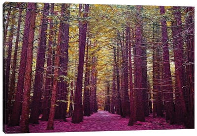 A path In The Forest In A Pink Shade Canvas Art Print - Ievgeniia Bidiuk