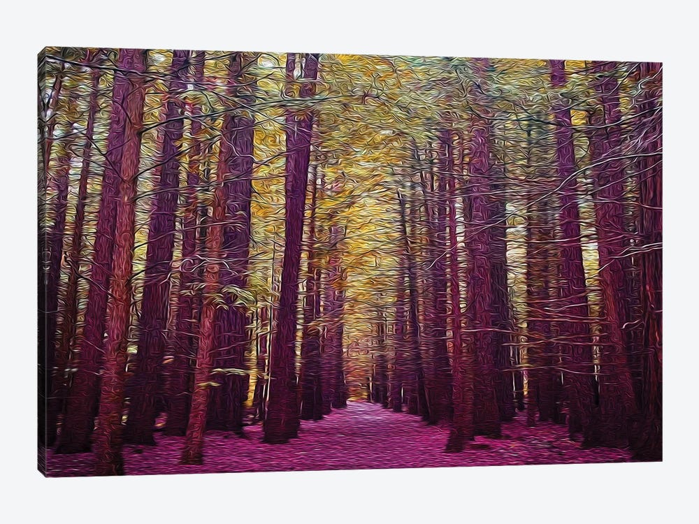 A path In The Forest In A Pink Shade by Ievgeniia Bidiuk 1-piece Canvas Print