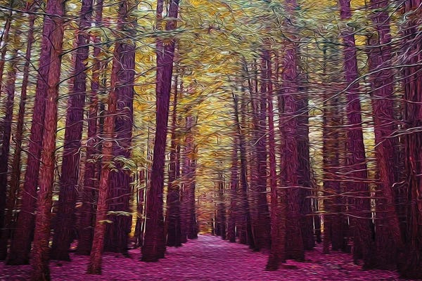 Ievgeniia Bidiuk: A path In The Forest In A Pink Shade by Ievgeniia Bidiuk