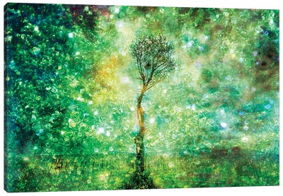 Tree Landscape Canvas Art Print - Igor Vitomirov