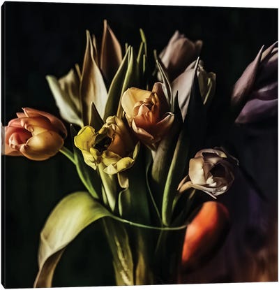 Tulips Canvas Art Print - Igor Vitomirov