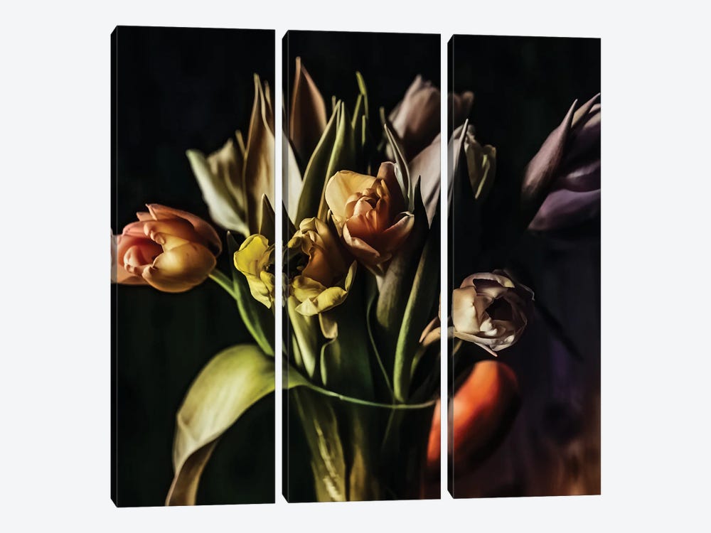 Tulips by Igor Vitomirov 3-piece Canvas Art Print