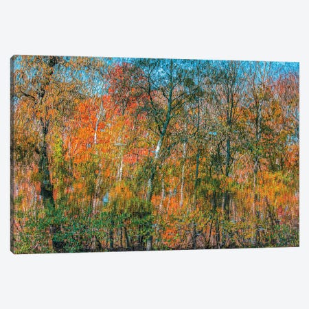 Autumn Forest Reflection 6 Canvas Print #IVI124} by Igor Vitomirov Canvas Print
