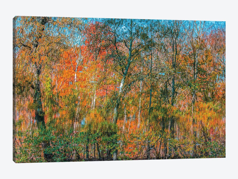 Autumn Forest Reflection 6 by Igor Vitomirov 1-piece Canvas Artwork