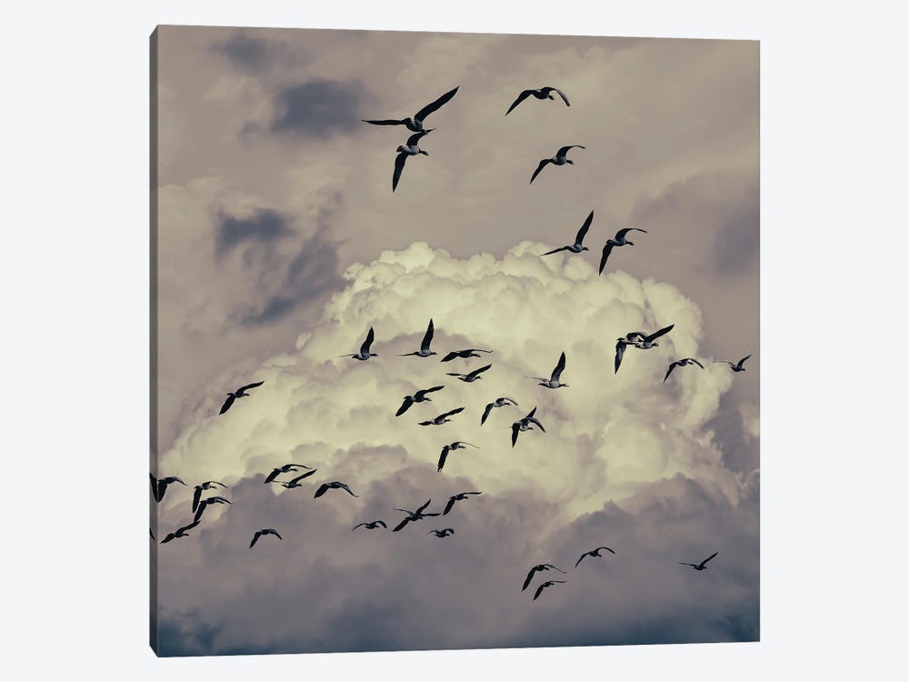 Birds In The Clouds by Igor Vitomirov 1-piece Canvas Wall Art