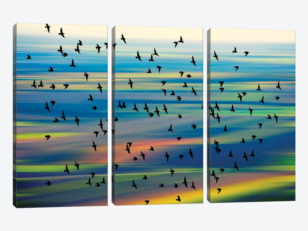 Birds In The Sky by Igor Vitomirov 3-piece Canvas Art Print