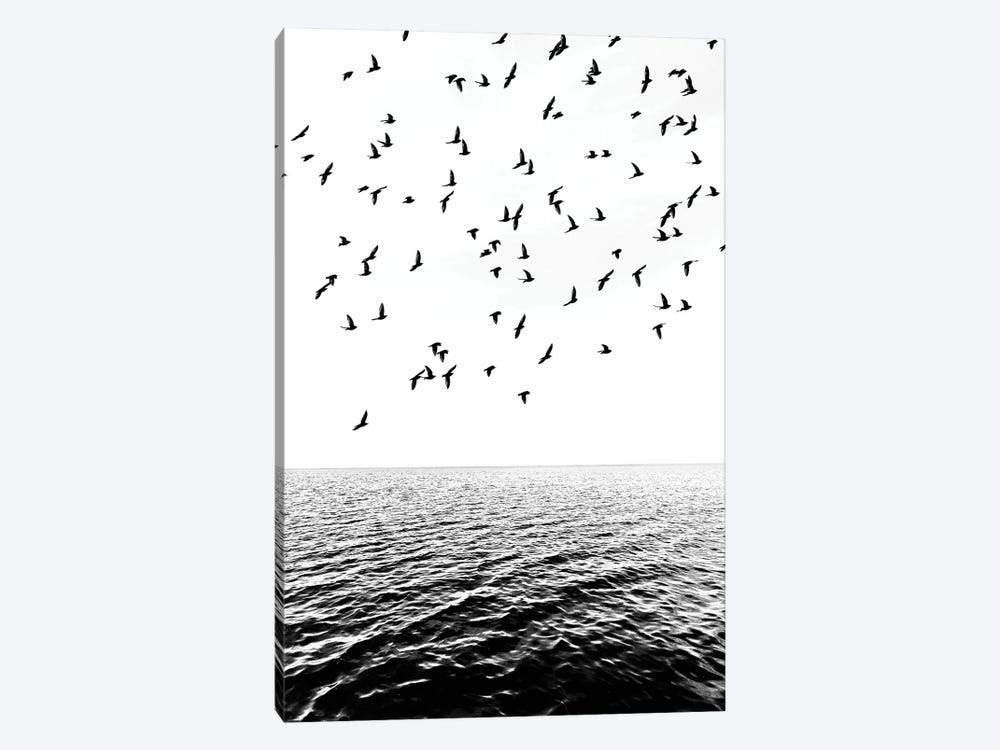 Black Birds by Igor Vitomirov 1-piece Art Print