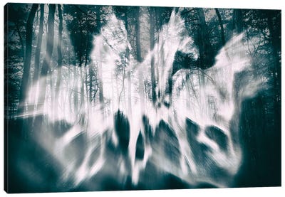 Forest Ghosts Canvas Art Print - Igor Vitomirov