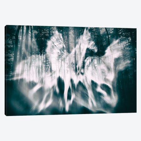 Forest Ghosts Canvas Print #IVI42} by Igor Vitomirov Canvas Wall Art
