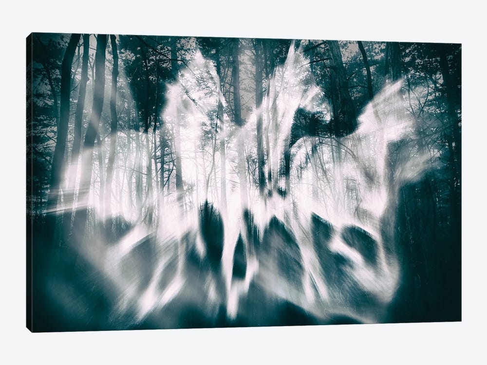 Forest Ghosts by Igor Vitomirov 1-piece Art Print