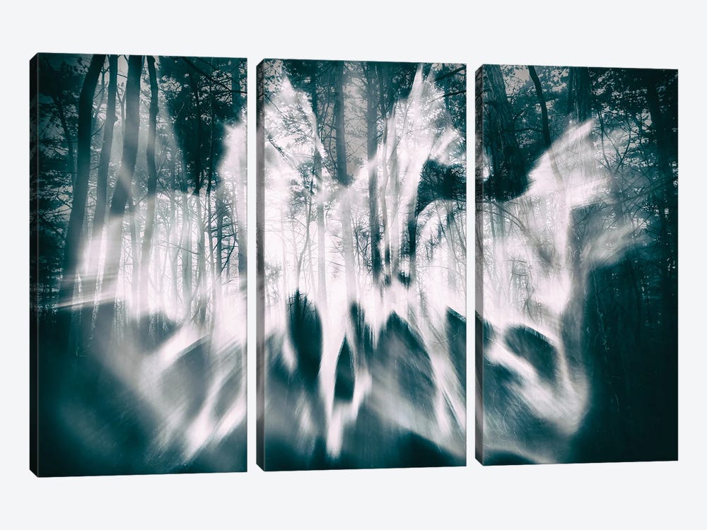 Forest Ghosts by Igor Vitomirov 3-piece Canvas Print