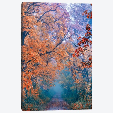 Misty Autumn Canvas Print #IVI63} by Igor Vitomirov Canvas Art