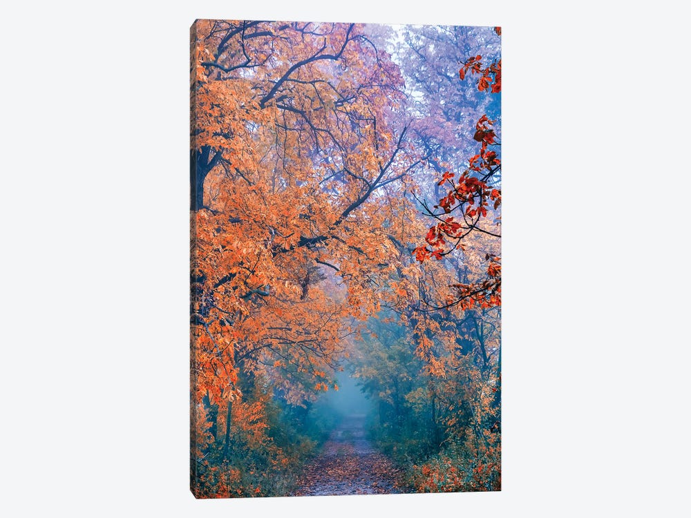 Misty Autumn by Igor Vitomirov 1-piece Canvas Art