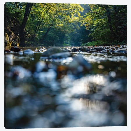 Morning By The Forest River Canvas Print #IVI65} by Igor Vitomirov Canvas Print