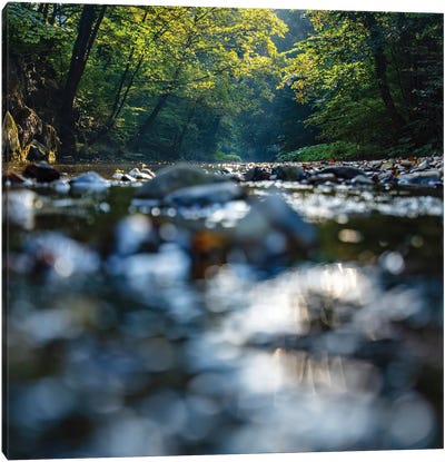 Morning By The Forest River Canvas Art Print - Igor Vitomirov