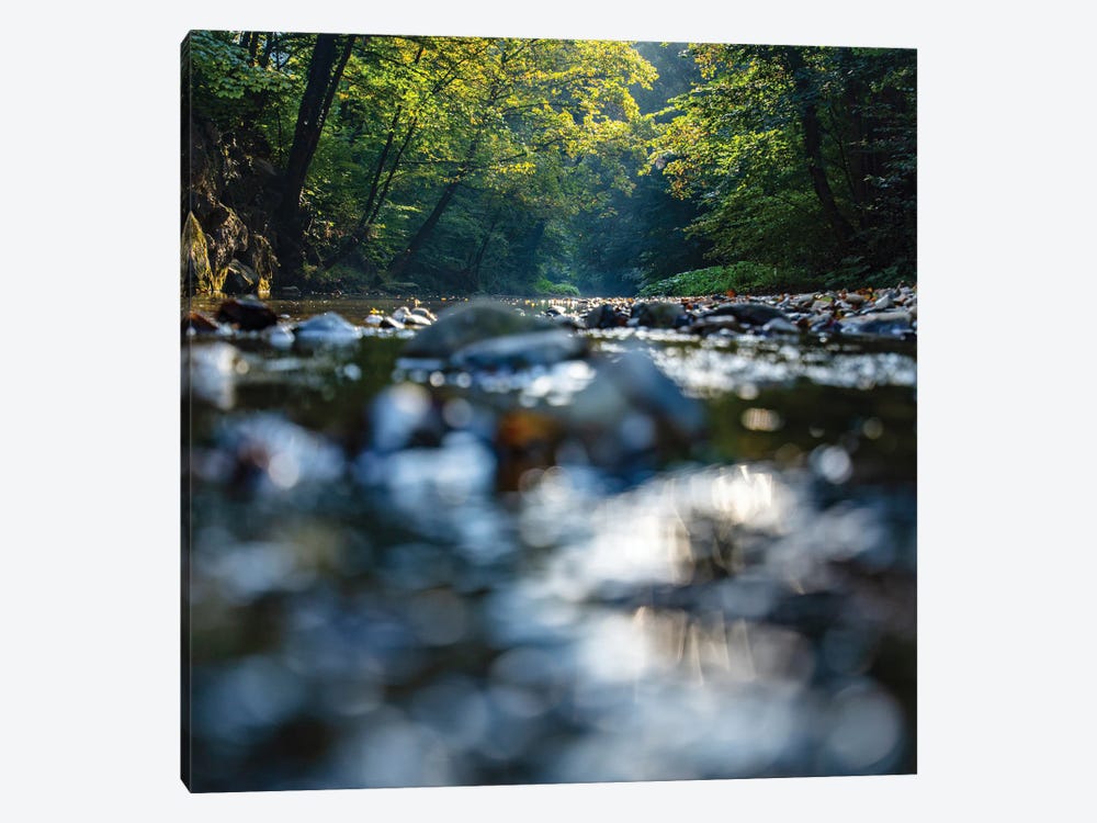 Morning By The Forest River by Igor Vitomirov 1-piece Canvas Wall Art