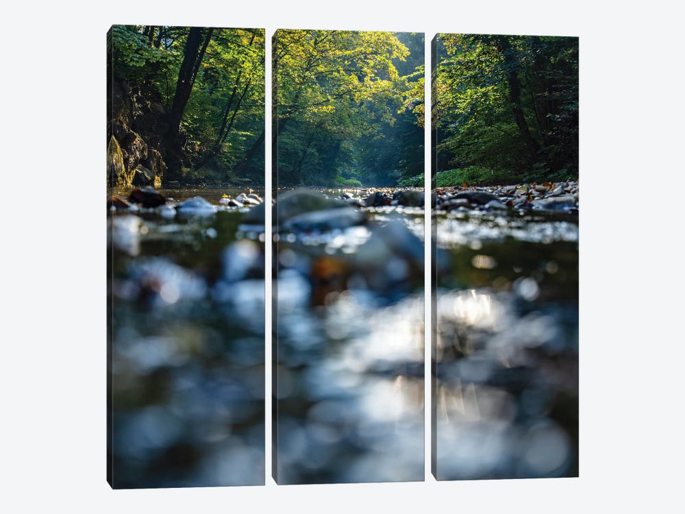 Morning By The Forest River by Igor Vitomirov 3-piece Canvas Wall Art