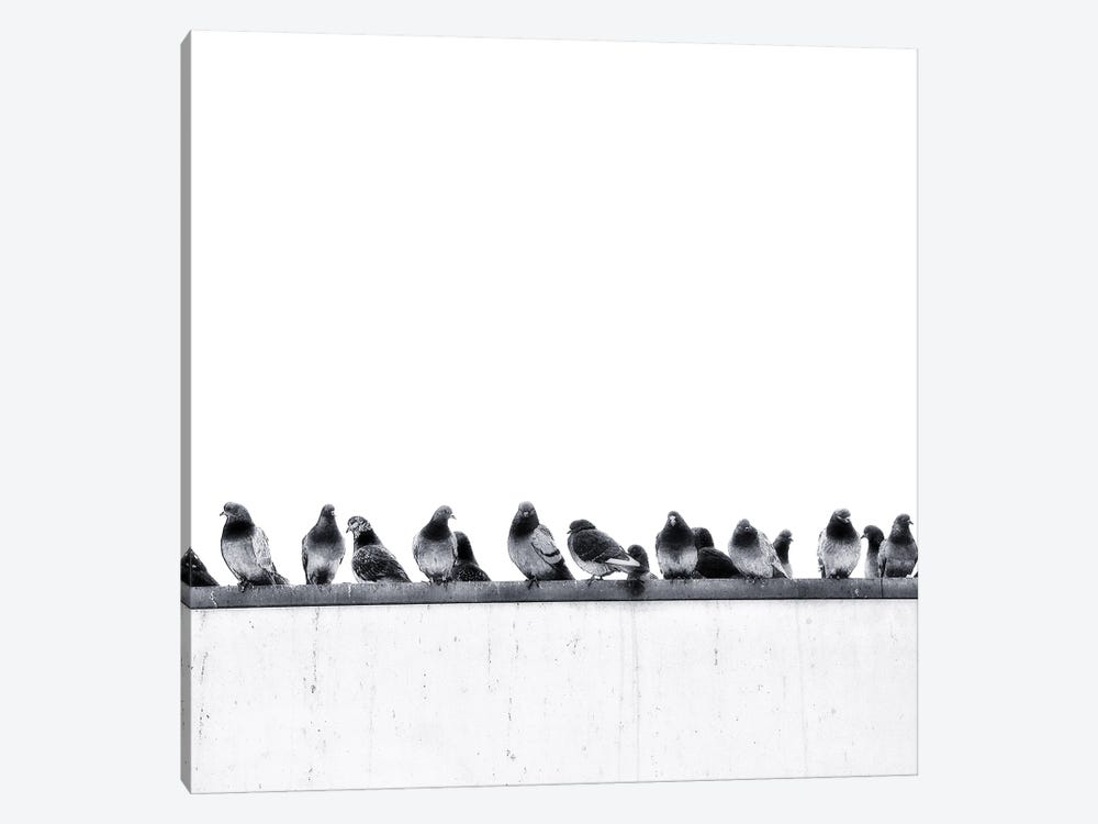 Pigeons by Igor Vitomirov 1-piece Canvas Art